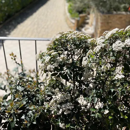La Maison De Elena Tuscany Prázdninový dům Montepulciano Stazione